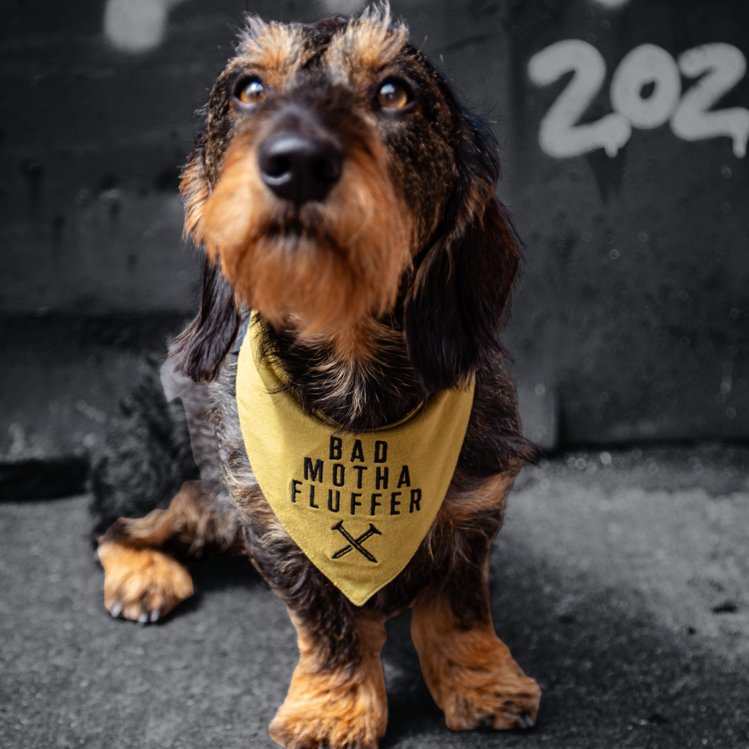 DOG BANDANA | LIGHT OLIVE & DESERT CAMO