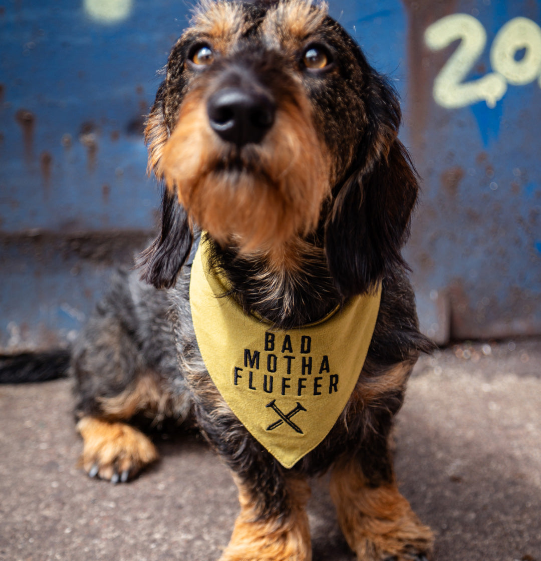 DOG BANDANA | LIGHT OLIVE & DESSERT CAMO