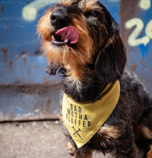 DOG BANDANA | LIGHT OLIVE & DESSERT CAMO