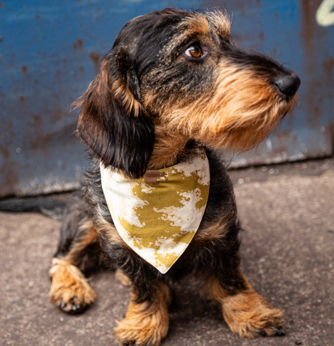 DOG BANDANA | LIGHT OLIVE & DESSERT CAMO