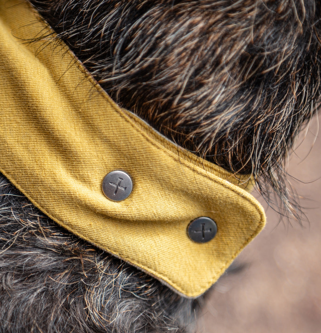 DOG BANDANA | LIGHT OLIVE & DESSERT CAMO
