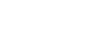 Black North logo